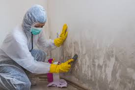 Best Mold Odor Removal Services  in Gridley, CA